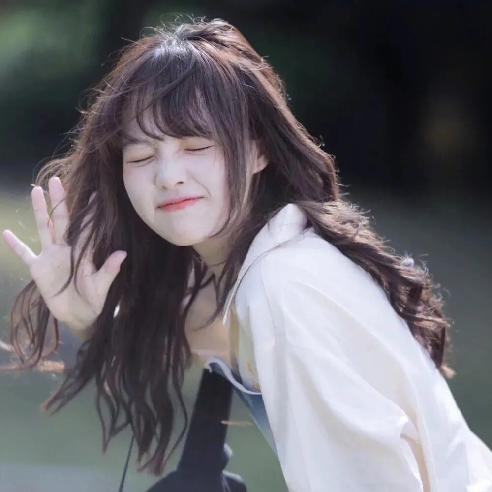 虹猫蓝兔火凤凰