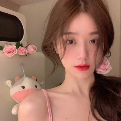 狗狗与我的十个约定